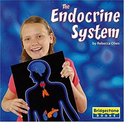 The Endocrine System Hardcover Rebecca Olien