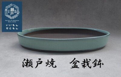Bonsai pot Seto ware Japanese bonsai pot
