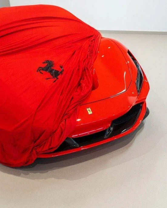 🔐 Cubierta de coche interior suave sin pelusa para todos los modelos Ferrari, ajuste a medida Foto 4 de 4