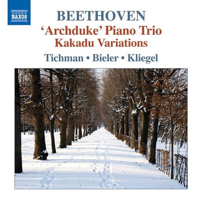 Ludwig van Beethoven Beethoven: 'Archduke' Piano Trio/Kakadu Variations (CD)