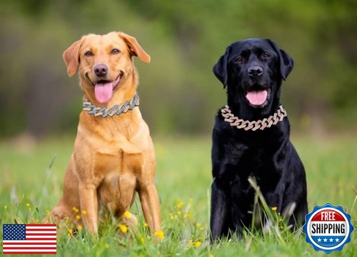 Pink Gold Chain Collar Bling Diamond Cuban Link Dog Collars Necklace Glitter - Picture 3 of 5