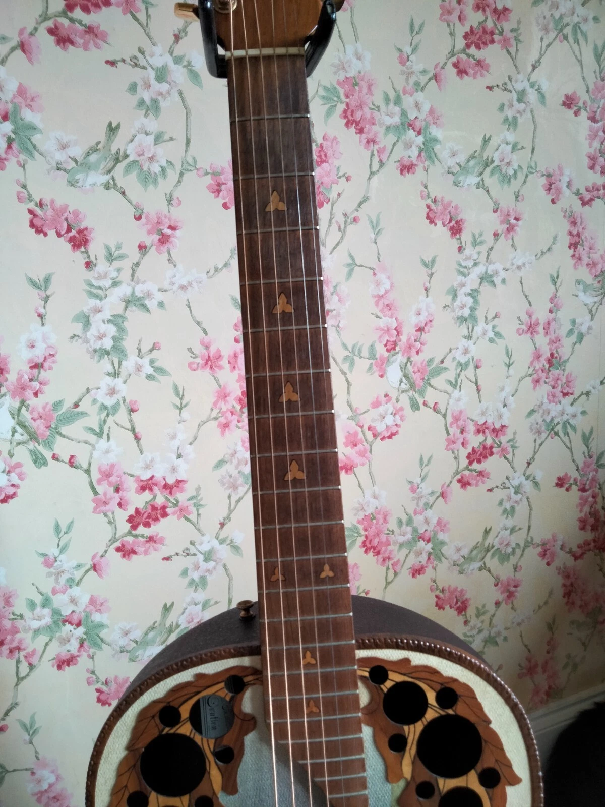 Picture 5 of 11