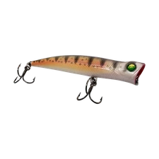 Cast Cray Pop Daddy Popper Lure - Perch Pop