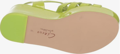 Circus NY Miranda Jewel, Sandali con Plateau Donna