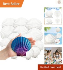 Large Natural Scallop Shells - 18pcs in Two Sizes for Elegant Crafting Decor