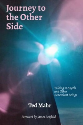 Journey to the Other Side Talking to Angels and Other B -  NEW TED. MAHR 2022-11