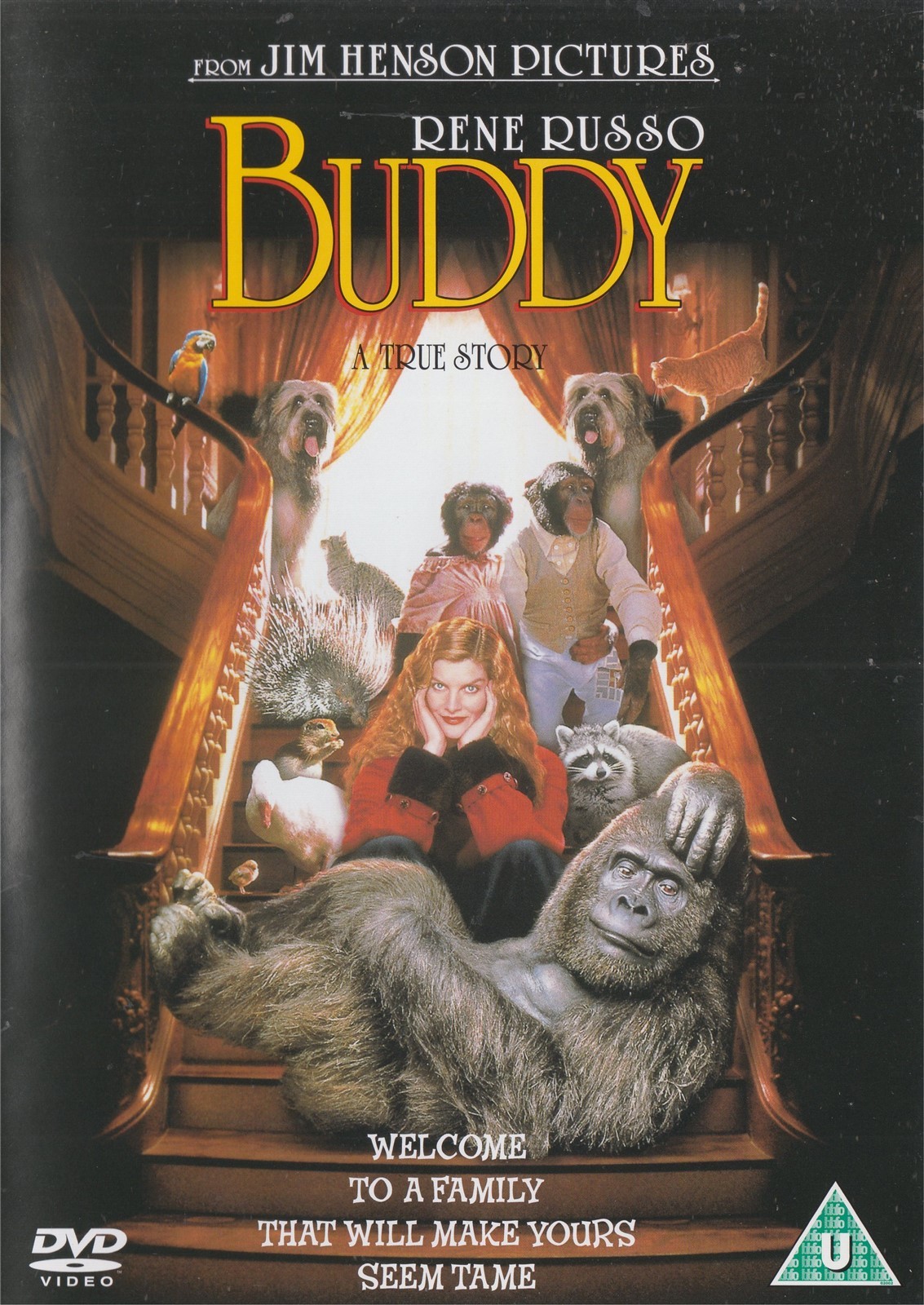 Buddy A True Story - Rene Russo, Jim Henson - NEW Region 2 DVD
