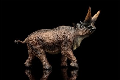 TNG Arsinoitherium Model Decor Animal Figure Adult   Toys Xmas Gift