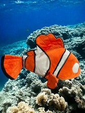 Finding Nemo Plush 15 In Orange Clown Fish Disney Store Exclusive Stuffed Animal