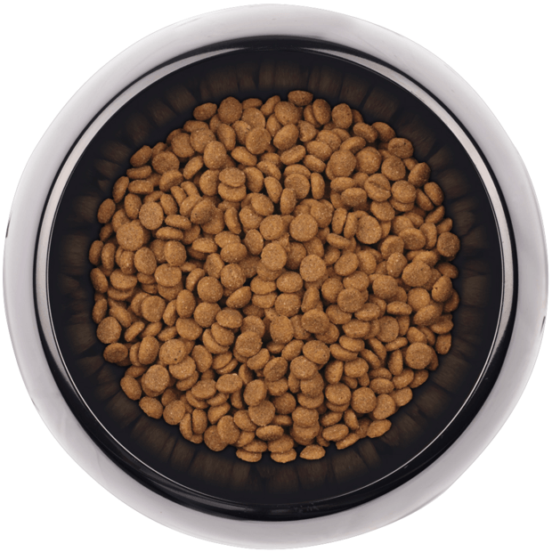 grain free supercoat