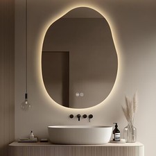 LED Bathroom Mirror with Lights 22x32 Stepless Irregular Dimmable 3 Colors