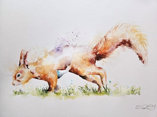 Original watercolour painting signed by Elle Smith Art of A Squirrel, artwork, - Picture 7 of 8