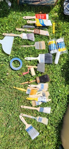 Paint Brush Lot