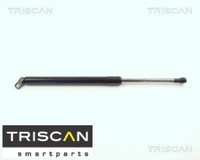 Triscan 871011209 Gasfeder FüR Koffer-/Laderaum Gasfeder GasdäMpfer FüR BMW
