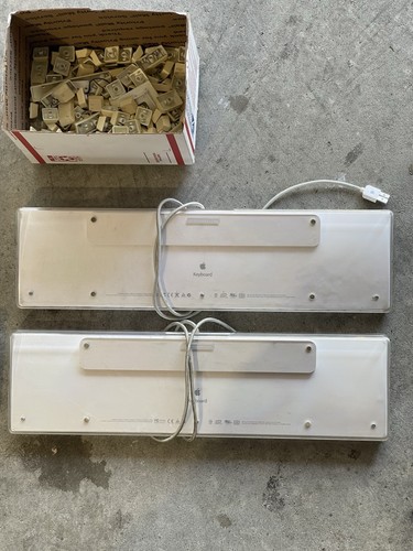 Lot of 5 Apple A1048 Wired USB Keyboards - White | Read Description - 第 6/7 張圖片