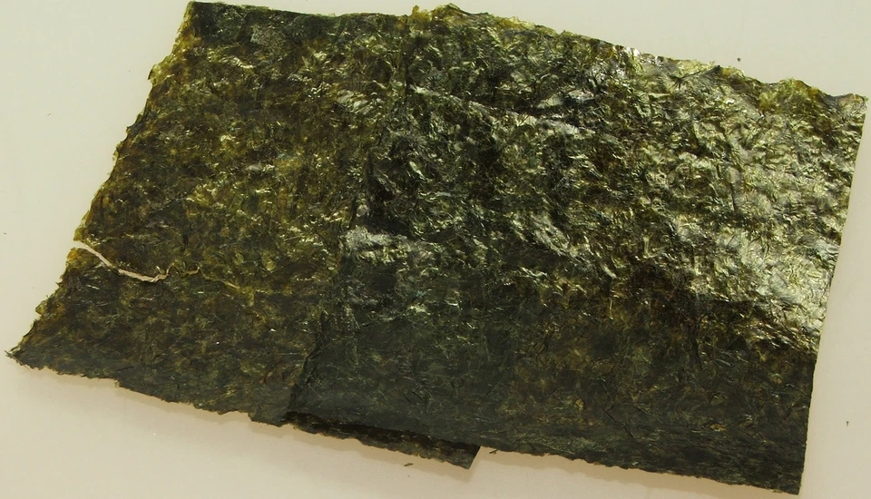 Lasama Algen Futterblätter 12 Stück ca. 9,5x10,5cm Algen Blätter Garnelen Krebse