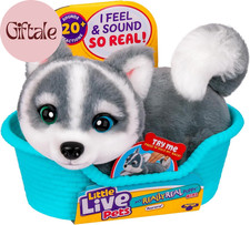 My Really Real Puppy Mini Aurora the Husky, Interactive Plush Toy with Display B