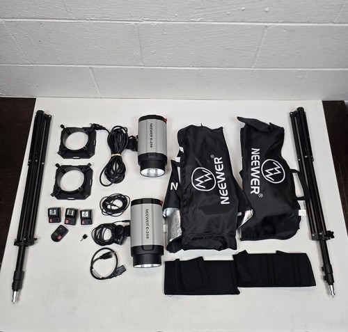 Set of 2 Neweer C-250 Photo Studio Strobe Flash and Softbox Lighting Kit