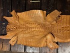 Genuine Wild Alligator Hornback Professionally Tanned — photo 5