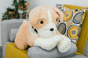 peluche en ingles britanico