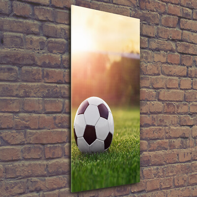Wandbild Kunst-Druck auf Hart-Glas senkrecht 50x125 Fußball