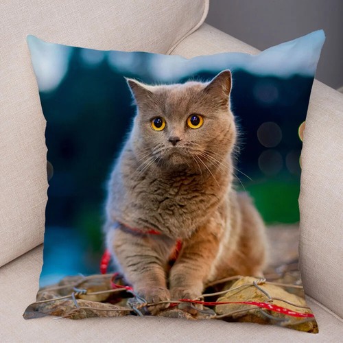 Funny Cute Cat Pillowcase Lovely Pet Animal Print Pillow Case Cushion Cover - Picture 36 of 72