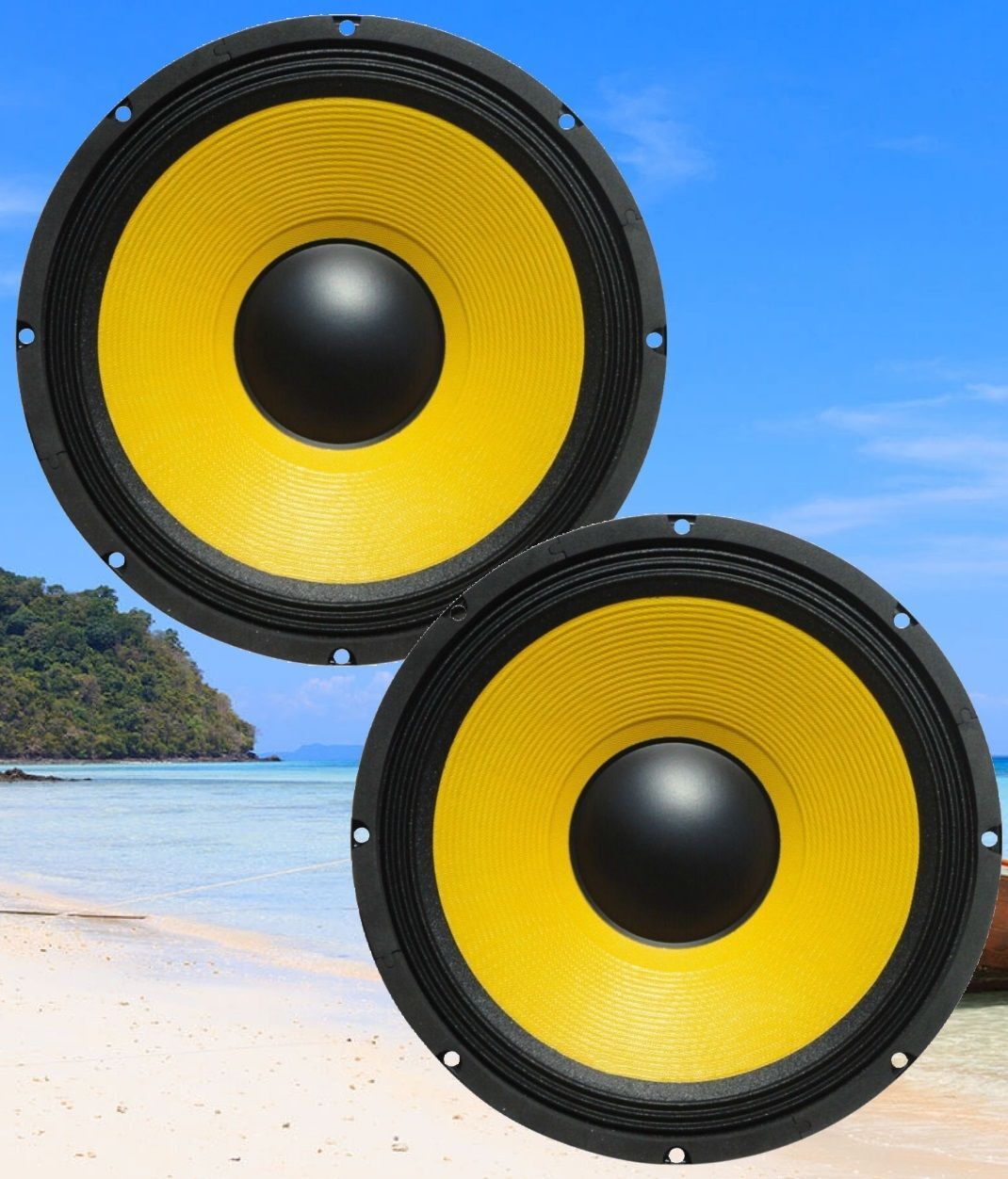 Coppia Woofer 38 cm 15 Pollici 8 Ohm 800W | Altoparlanti Alta Efficienza