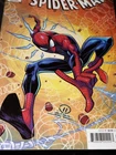 AMAZING SPIDER-MAN #40 (JOEY VAZQUEZ VARIANT) ~ Comic Book ~ MARVEL