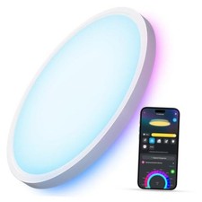 Govee Smart Ceiling Light, RGBIC 2400LM 2700K-6500K 12 Inch 1 Pack White 1 Pack