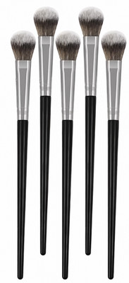 5 Stück Make-up Pinsel Set für Foundation, Concealer, Rouge & Puder