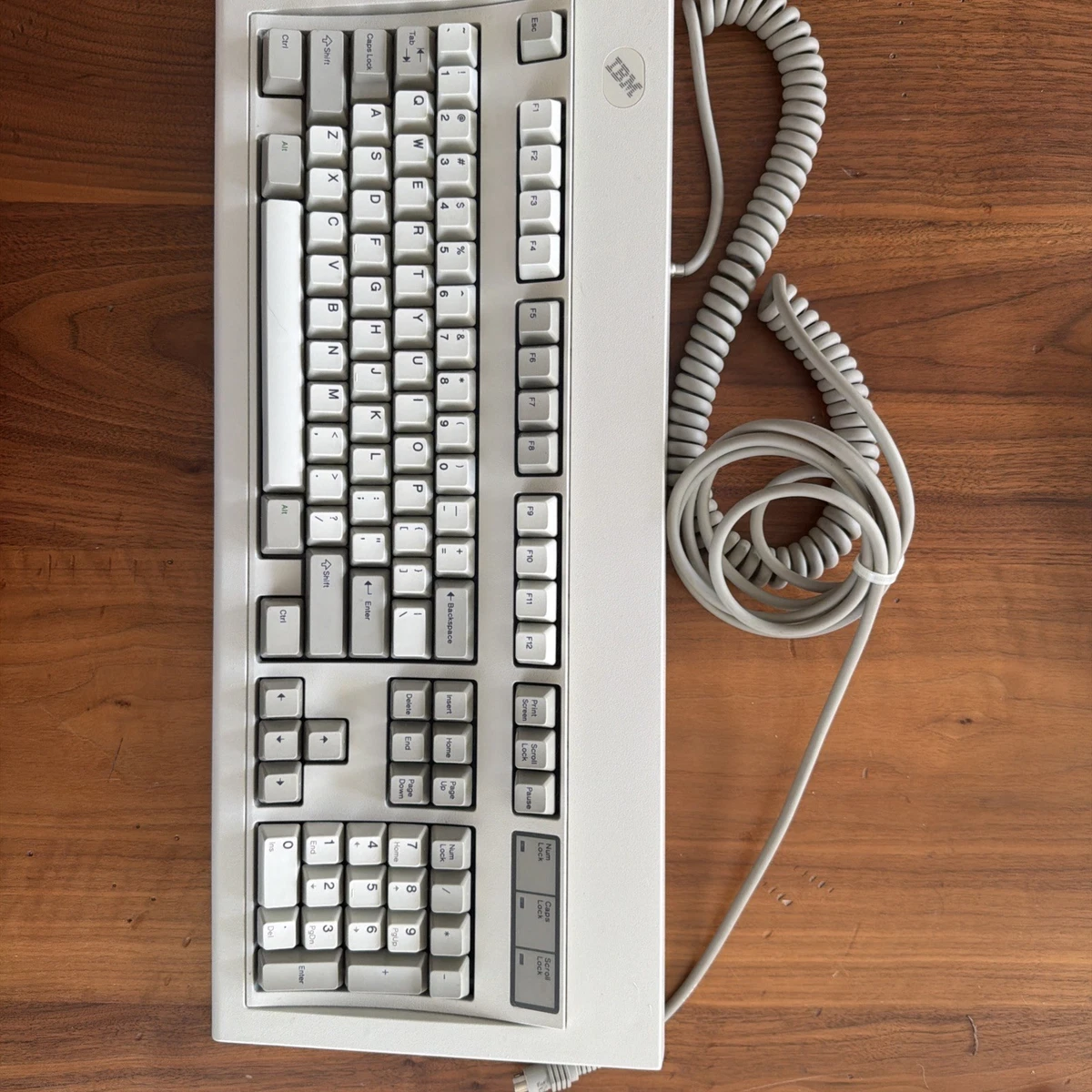 Ibm model m keyboard | Acquisti Online su eBay