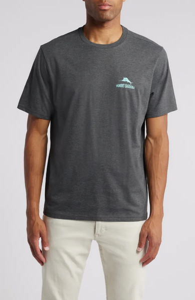 Футболка с изображением пятизвездочного отеля Tommy, Угольный Вереск, XXXL