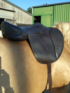 Heather Moffett Vogue GPT 18" Havanna