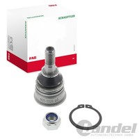 Schaeffler FAG Traggelenk Vorderachse Passend FüR Nissan Micra | 825 0228 10