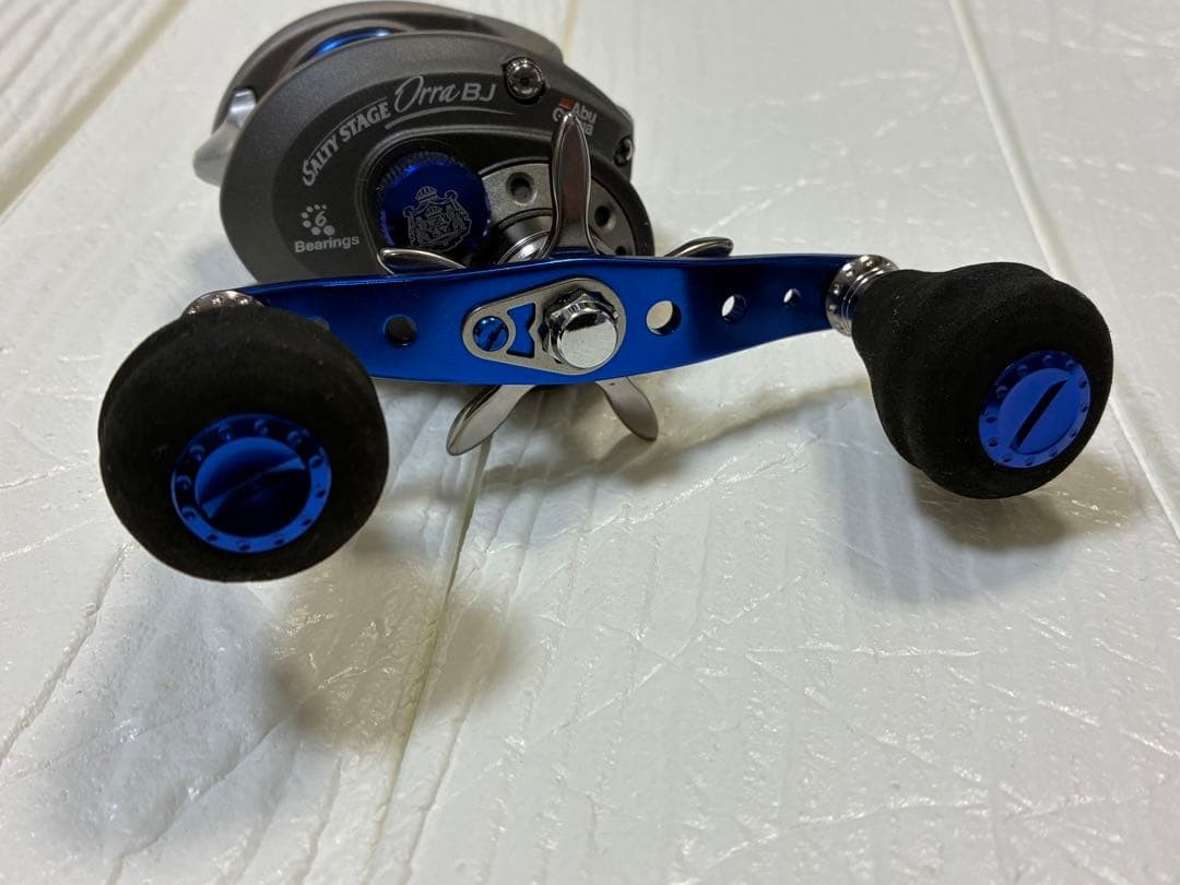 abu garcia abu garcia SALTY STAGE Orra BJ | eBay