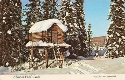 Alaskan Food Cache Log Cabin Raised Storage Snow Scene 6x4 Postcard J51