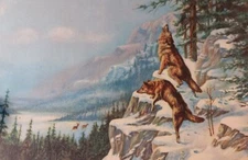 Old WOLF Print John Renfrew Dean "Calling the Pack" 13051 8 x 10.5