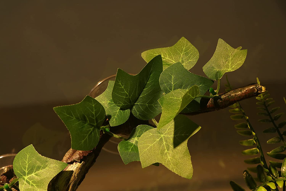 Reptile Corner Branch Terrarium Plant Decoration with Suction Cup for