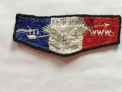 Wa Hi NASA Lodge 111 S-2 solapa de bolsillo - Imagen 2 de 2