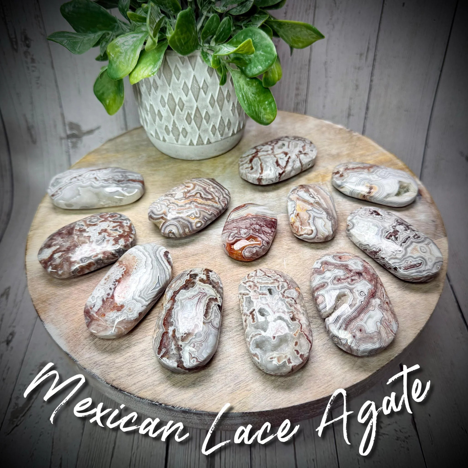 Mexican Lace Agate Palm Stone, Mexican Crazy Lace Agate Palm Stone, Polished