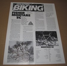 eBay Auction Picture