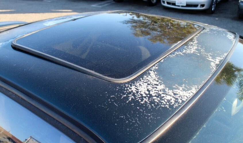 Saturn Serie S, 1998, 1999, 2000, 2001, 2002, OEM techo corredizo vidrio Foto 2 de 4