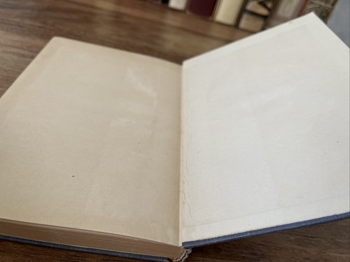 The Wild-Fowlers - Charles Bradford - 1901 1st ed.   VERY RARE! Vintage HC - Picture 12 of 12