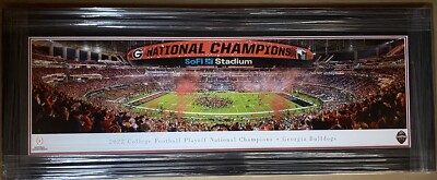 Georgia Bulldogs National Championship Sofi Framed Panoramic Picture