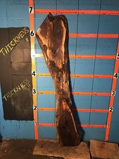 9775 1 11/16" THICK black walnut Live Edge Slab lumber KILN DRIED