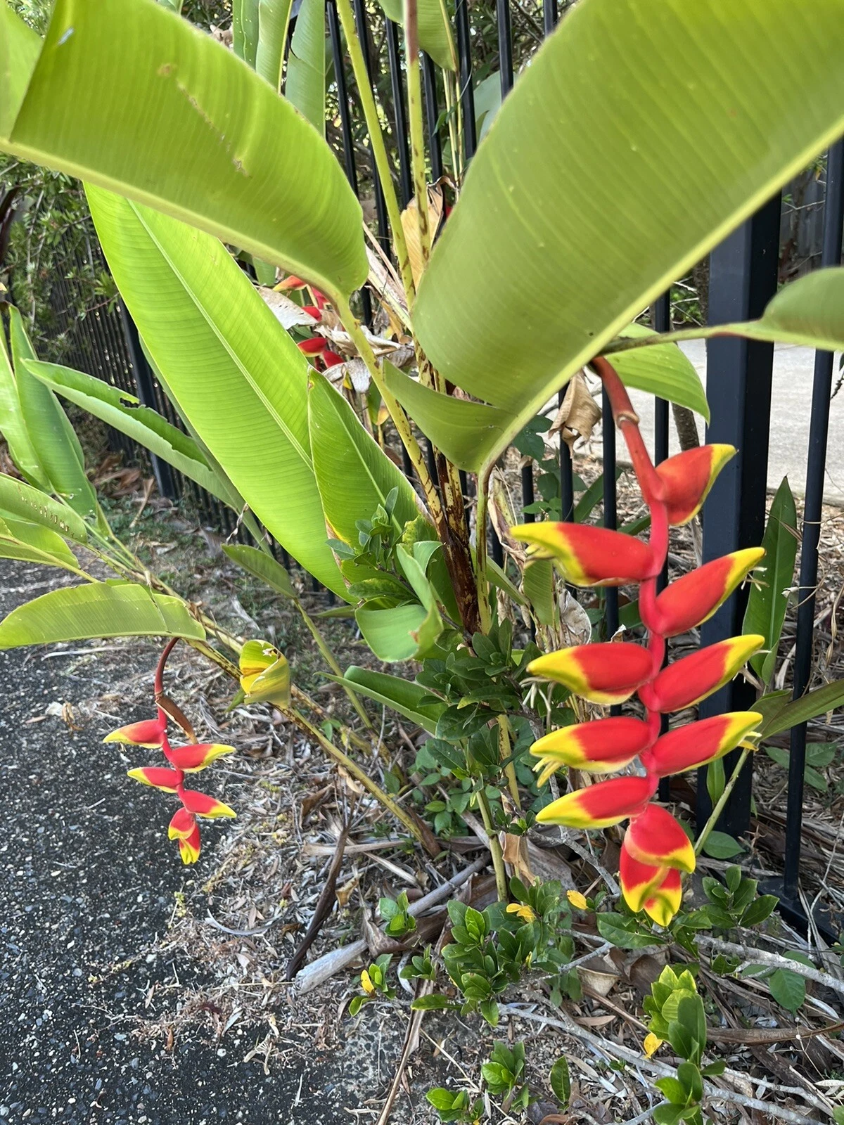 Picture 3 of 11