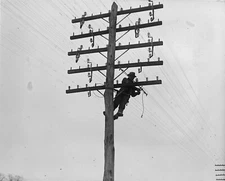 8" x 10" Photo C&P Tel. Co. Lineman