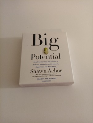 Big Potential: How Transforming the Pursuit of Success Raises Our Achievemen...