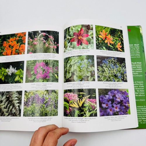 Landscaping with Daylilies The American Hemerocallis Society (2012) 1st Edition - Picture 17 of 22