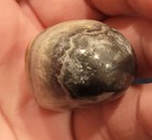Bumble Bee Tumbled Stone Crystal Healing Stone — photo 2